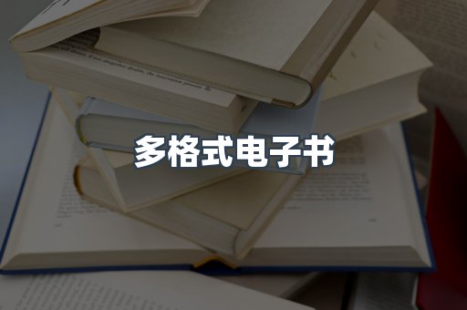 海外电子书